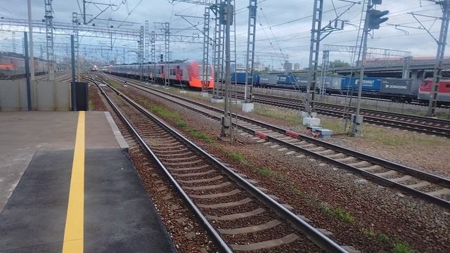 Переполох на станции тихии электрички и промчался мощный "Невский экспресс".