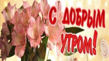 Доброго утра друзьям#shorts