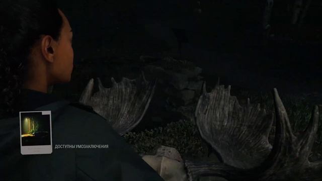 Лось, пуукко и ха-ха! ► Alan Wake 2 Прохождение с русской озвучкой #17