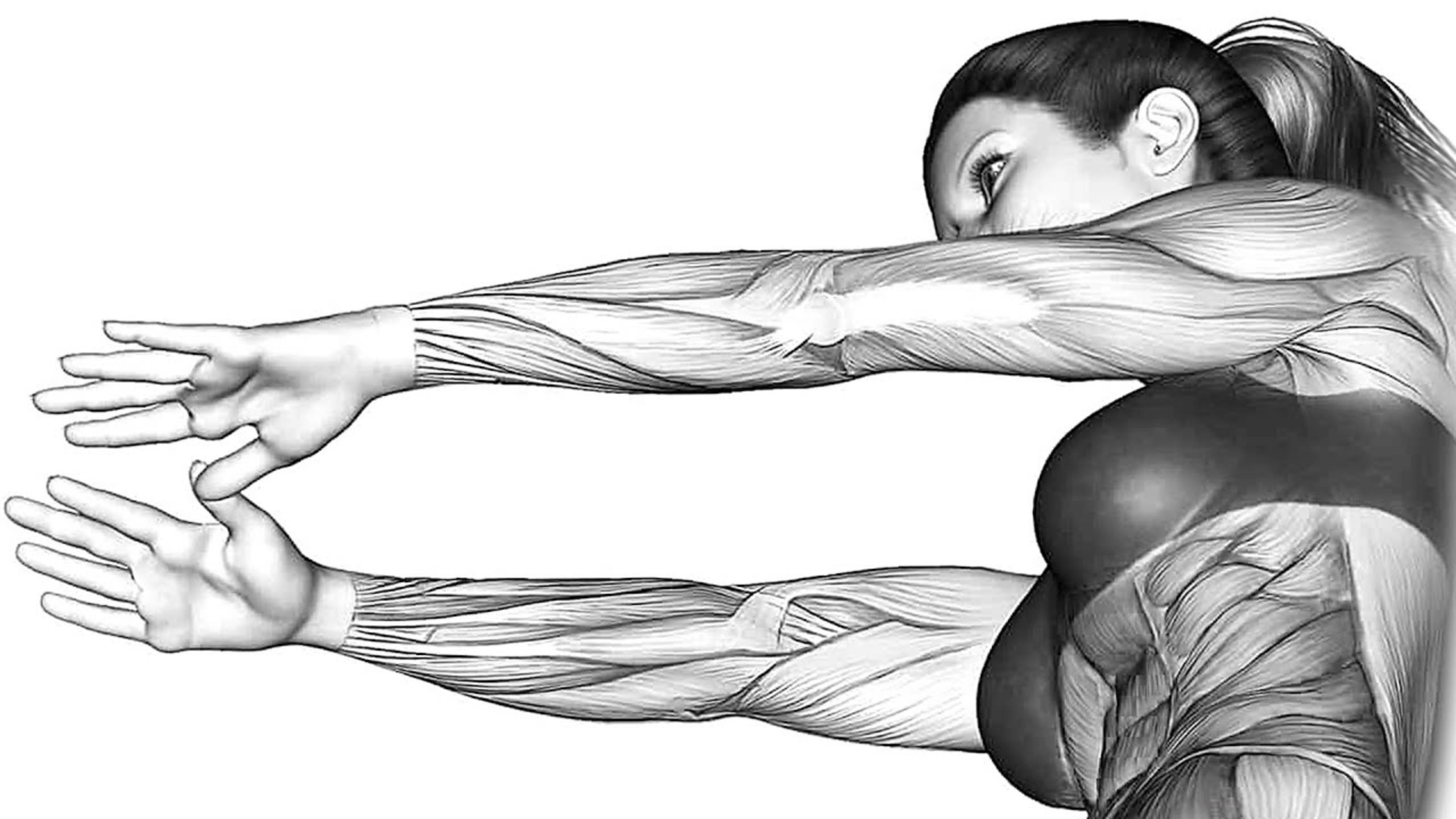 6-минутная Тренировка Рук для Женщин