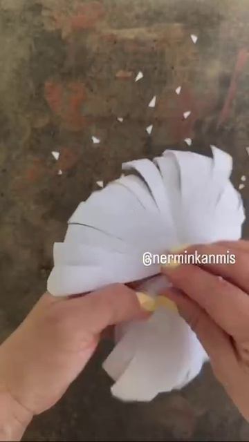 Полевые ромашки 🌸