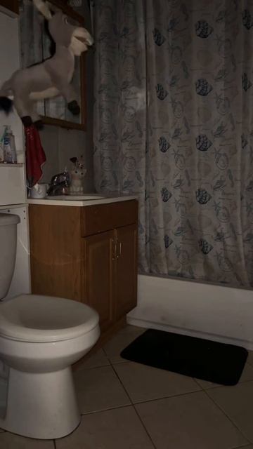 ослик танцует
