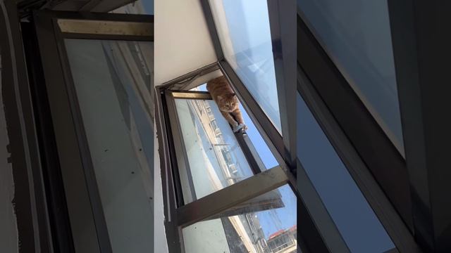 1000044958.mp4