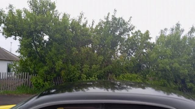 1000006134.mp4