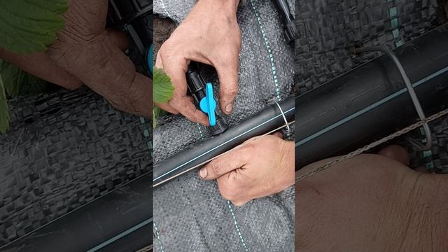 Подключаем Капельный полив