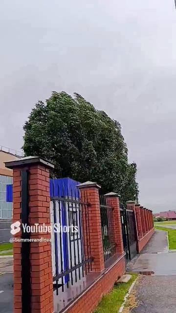 "Случайная любовь..")