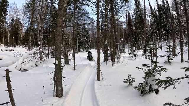 Про Снегоход Бурлак АЗИМУТ