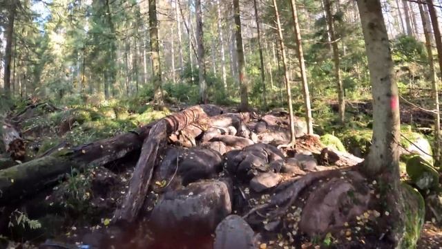Первая хард эндуро гонка на электробайке Stark Varg.
