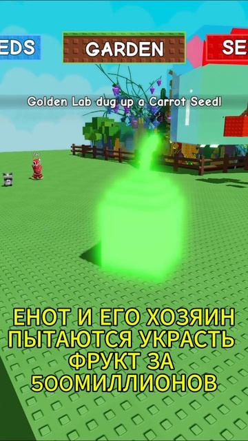 ЕНОТ И ЕГО ХОЗЯИН ПЫТАЮТСЯ УКРАСТЬ ФРУКТ В GROW A GARDEN #growagarden #енотик #вырастисад #shorts