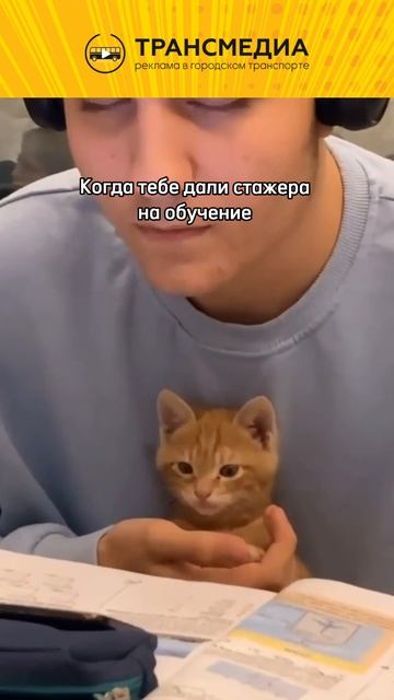 тю тю