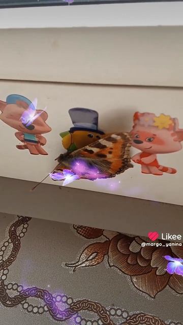 1000140261.mp4