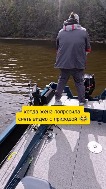 видео с природой для жены