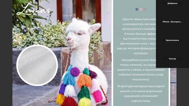 1я часть встречи, презентация коллекций Аметист для  Дома дом