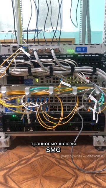 Стойка с оборудованием Eltex: MES3324F, SMG-2016, SBC-1000. Видео[Охота] на eltexcm.ru