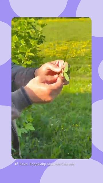 1000621433.mp4