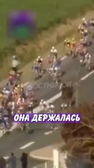 Новостничок (281)