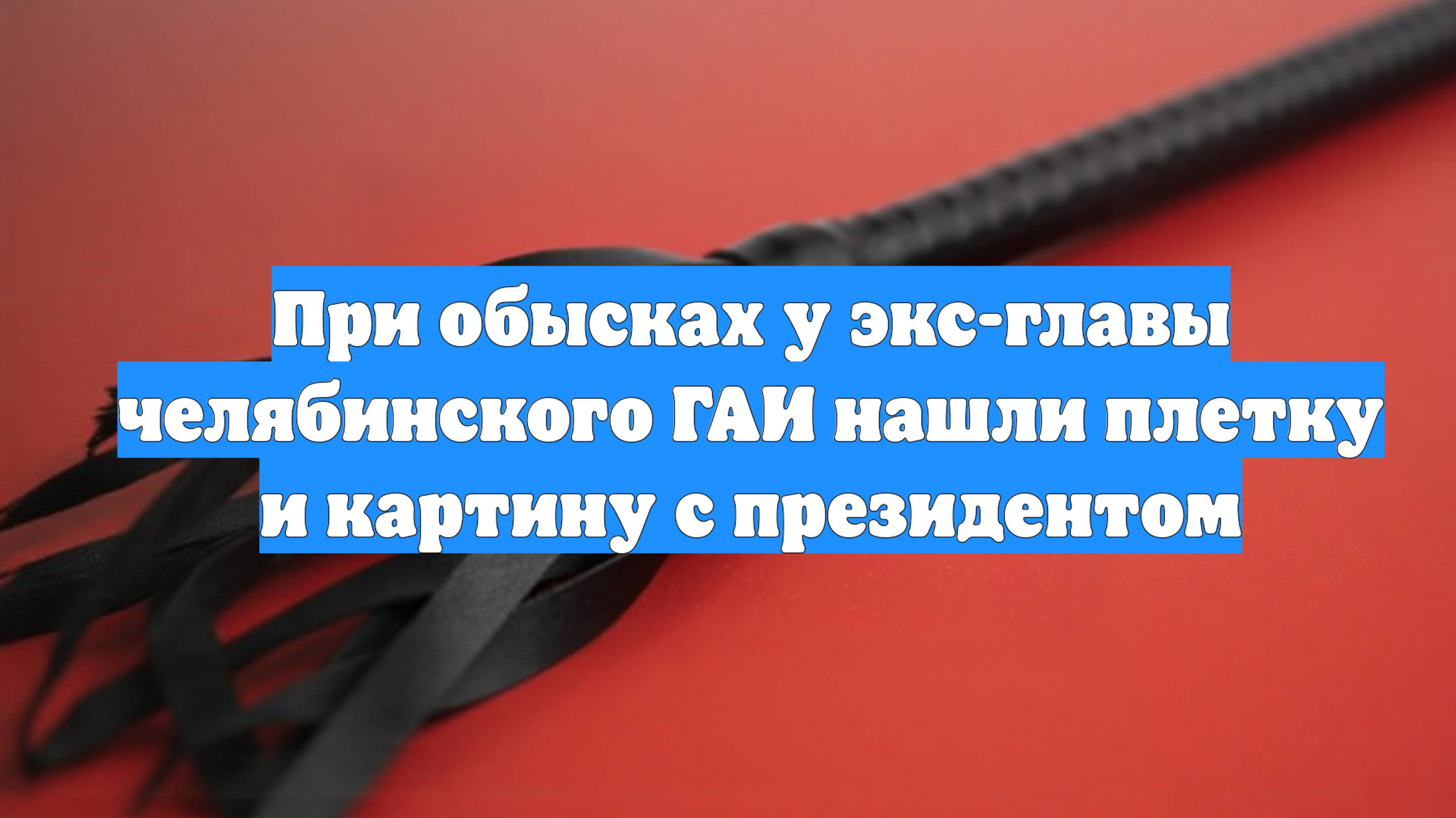 При обысках у экс-главы челябинского ГАИ нашли плетку и картину с президентом