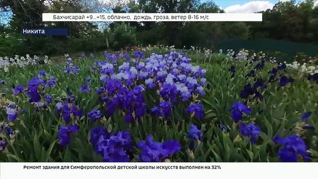В Никитском ботсаду начался 20-й карнавал Ирисов