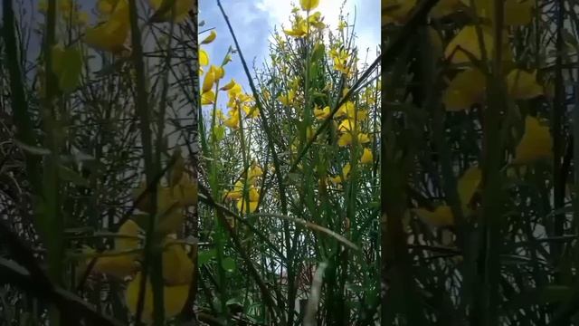 НЕ НАДО БОЯТЬСЯ