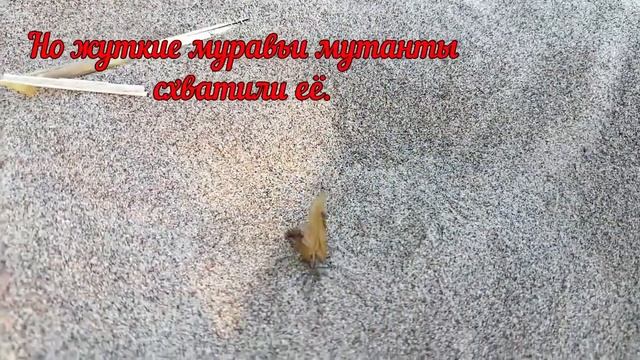 Битва МУРАВЬЁВ | Самый жуткий фильм ужасов | Не рекомендуется лицам до 18 лет