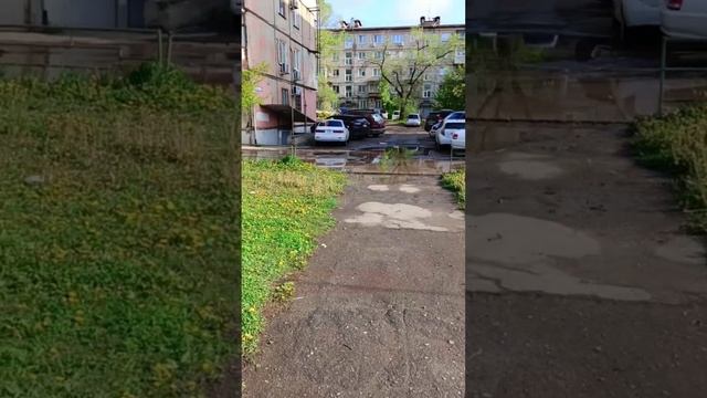 Недоступная среда: В детском саде №156 в Хабаровске затопило дорогу и детей носят на руках