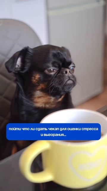 Чувствуете усталость, тревогу или просто ощущаете себя «как выжатый лимон»?
