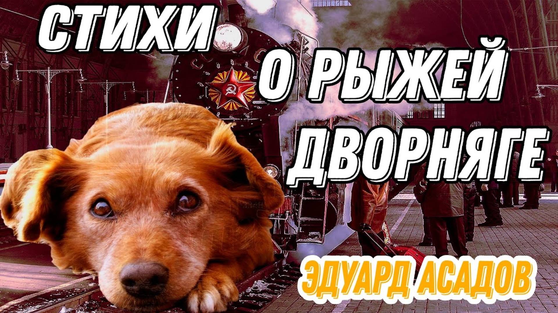 Эдуард Асадов "Стихи о рыжей дворняге" читает Любовь Б.