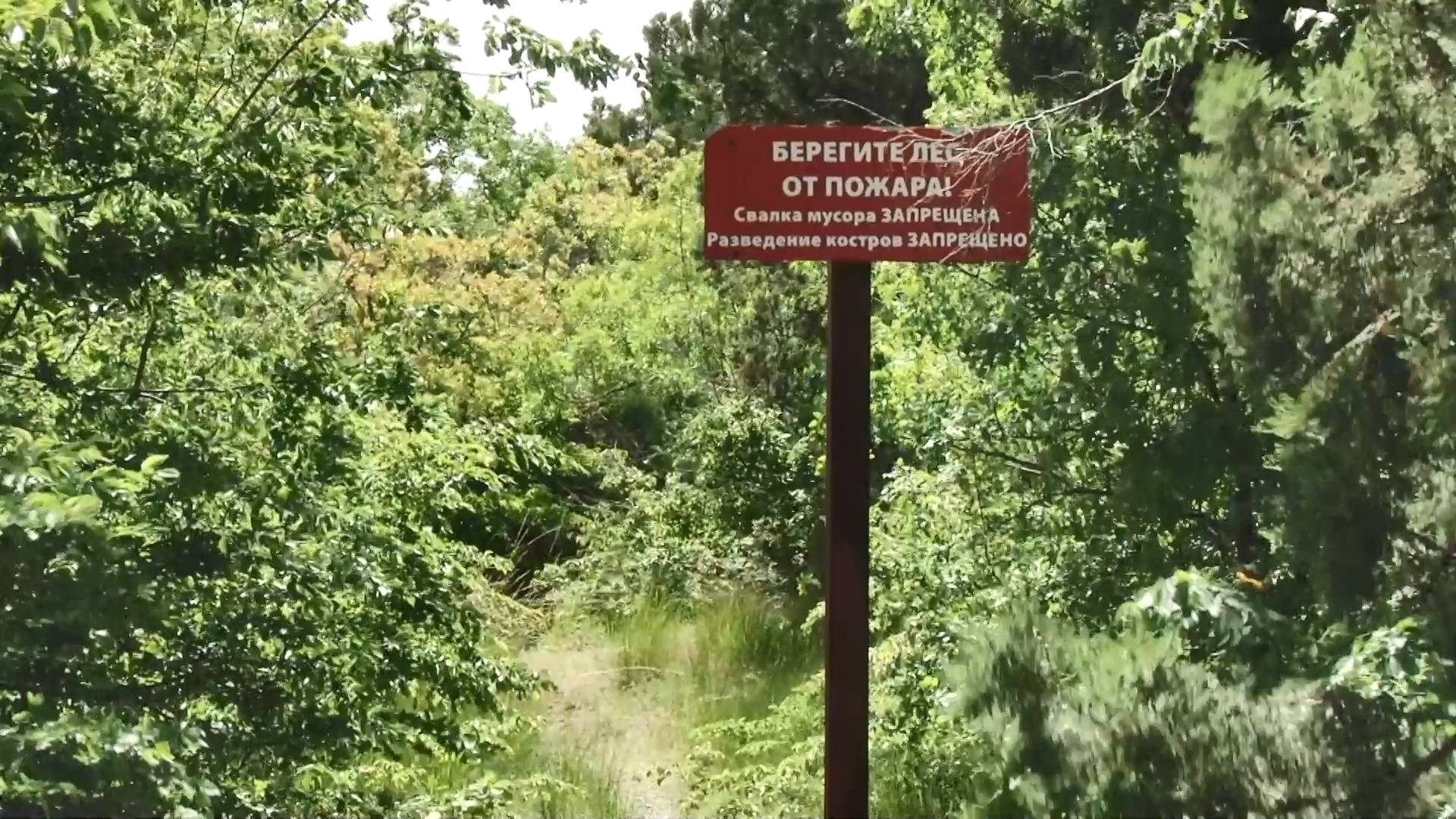 Особый противопожарный режим в Анапе под контролем мониторинговых групп