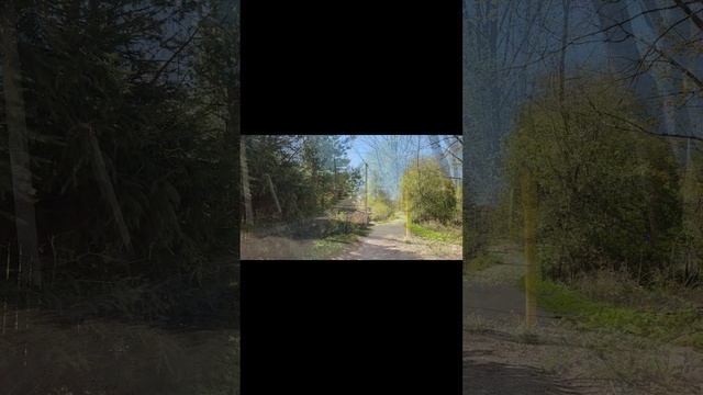 Плодовое.mp4