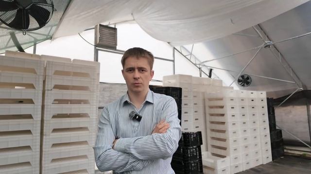 Итоги  выгонки 🌷 тюльпанов к 8 марта 2025 . #васькапилот #