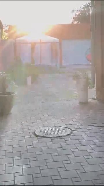 Видео WhatsApp 2025-05-20 в 09.57.38_c9484be4