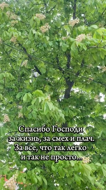 Спасибо💕
