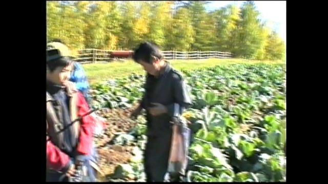 1996 сыл. КуЬунну хомуур улэтэ.