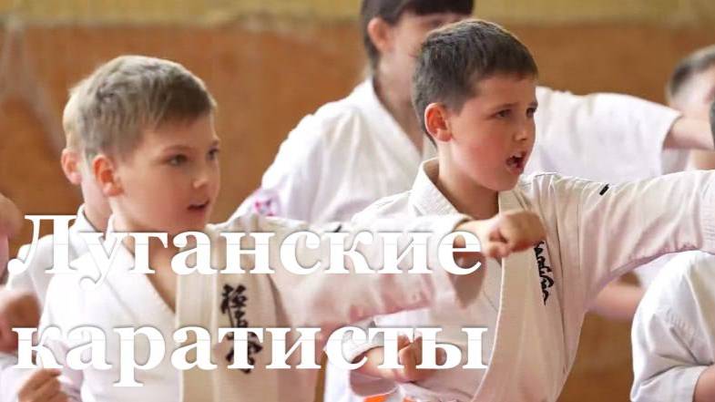 Каратисты Луганска привезли бронзу из Краснодара