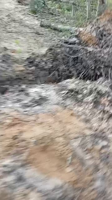 Через грязи и канавы в Сяберском заказнике на велосипеде 🚴