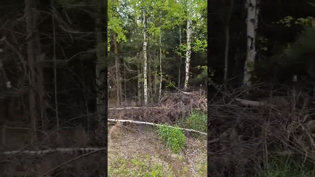 Земельные участки у Горьковского водохранилища