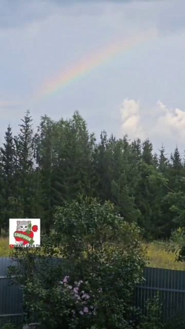 Господь подарил нам всю из белого тумана Настюню 😇🌈💓🌫😻