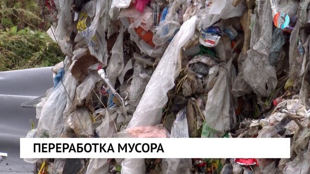 Новости от 20.05.2025
