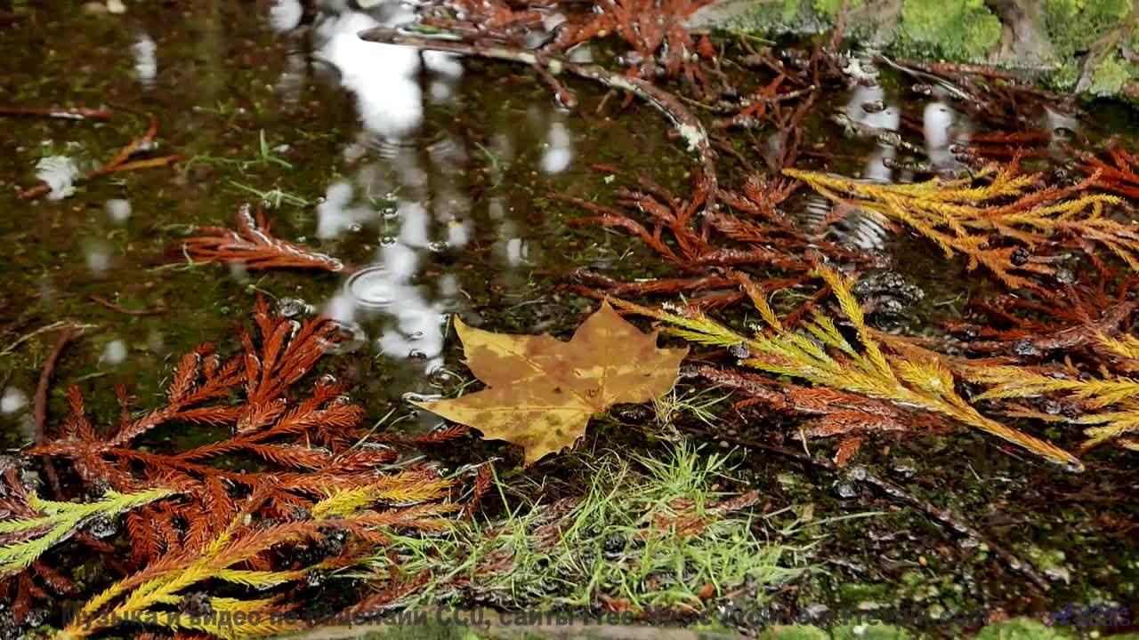 Эта композиция создана солнечным ветром - как такое возможно - Tumbleweeds -- Ketsa -- Metaphysics