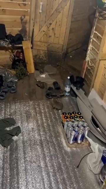 Боец из Краснодарского края в зоне СВО подружился с восемью лисятами