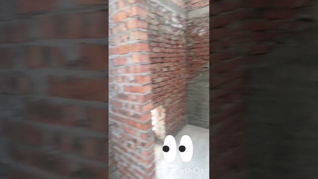InShot_20250503_220600875.mp4