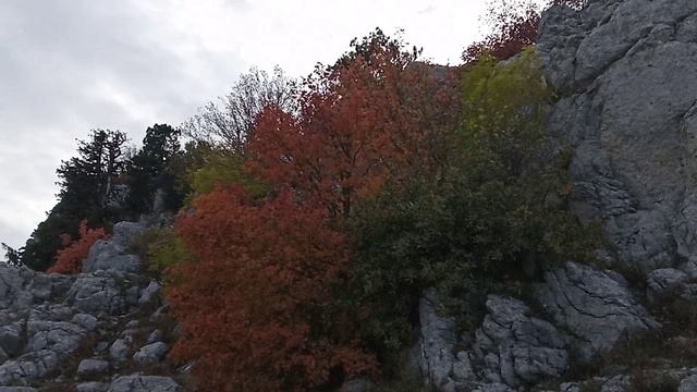 Ай-Петри