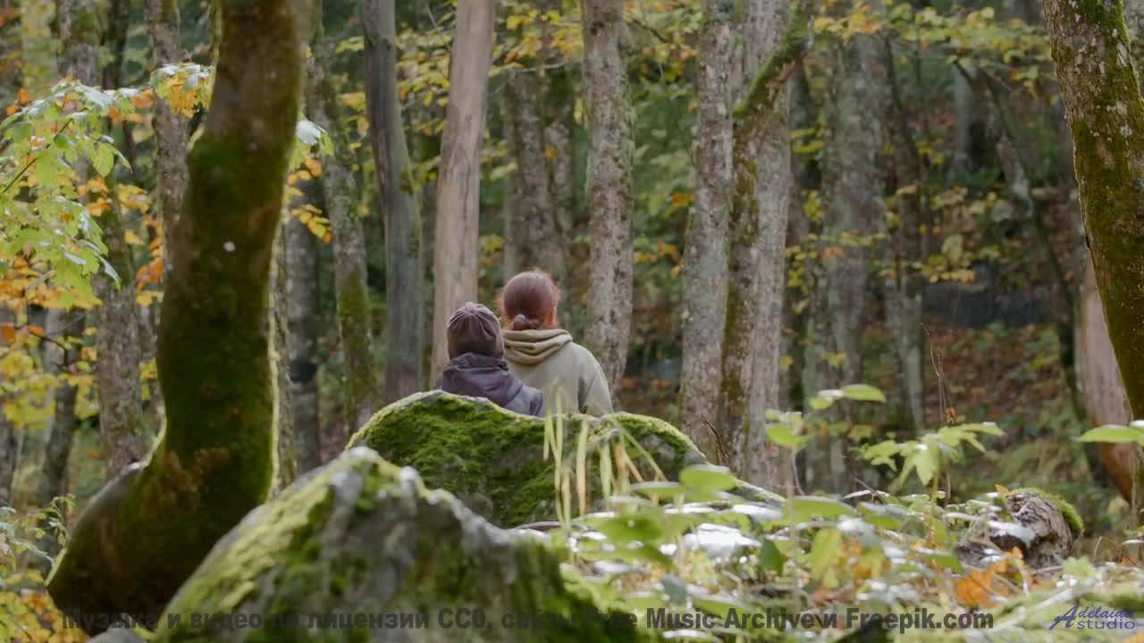 Музыка наполняет душу светом при каждом кадре - A New Path -- Kirk Osamayo -- Season Two (GREEN)