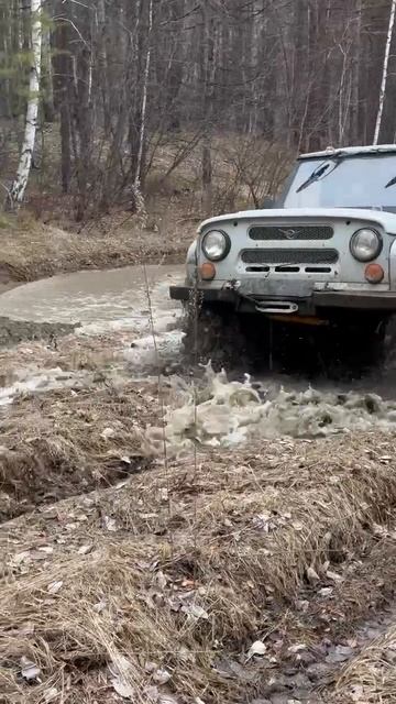 УАЗ в котором всё включено  #offroad #блокировки #nortec #бездорожье #леса #военныемосты #змз 409