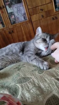 Поспала, а теперь сначала гигиена, а потом игра.