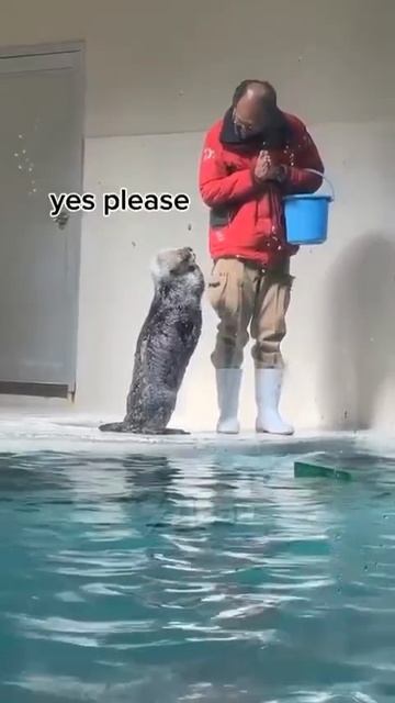 1000040247.mp4
