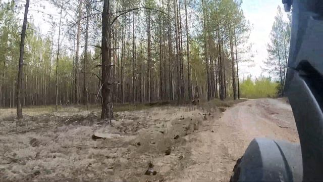 KUGOO G1 Pro Покатушки по лесу