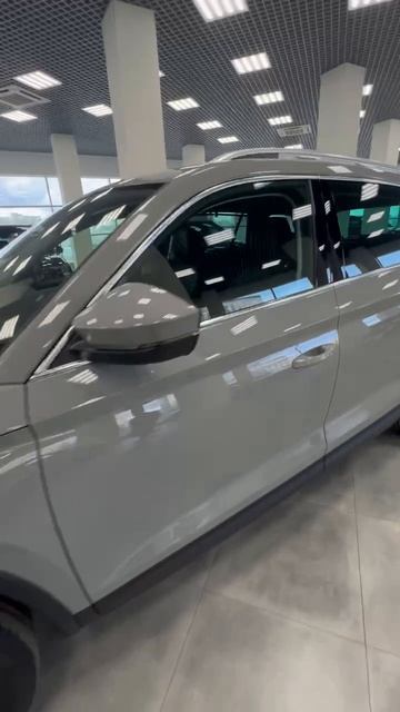 kodiaq_style_steelgray