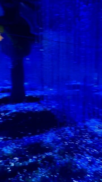 Арт-пространство Эйфория