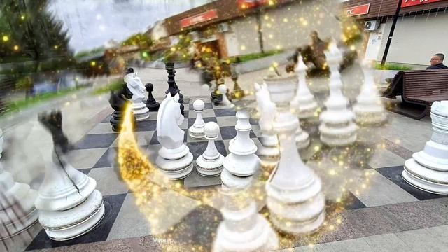 шахматы